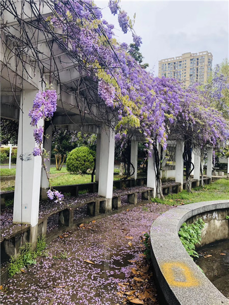 bv伟德国际体育官方网站